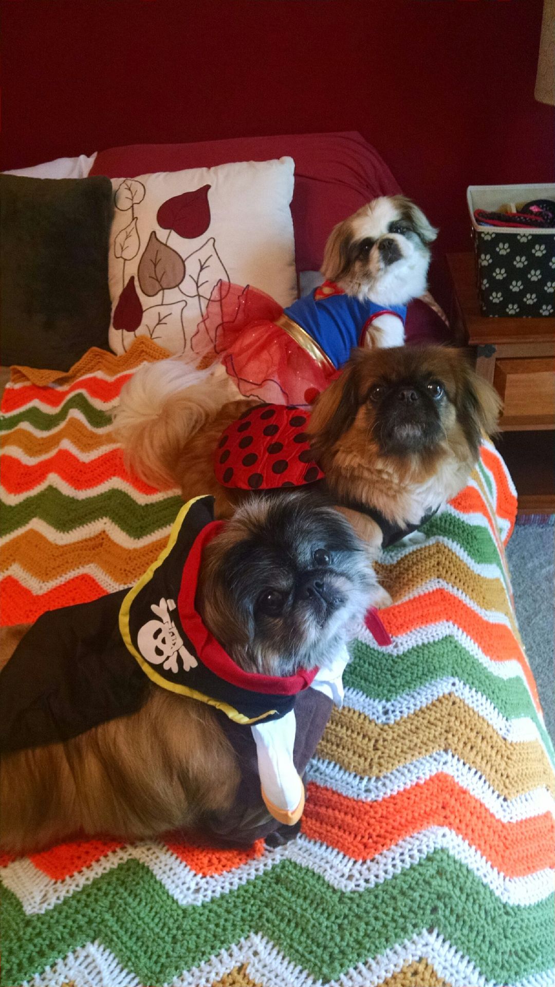 Lulu, Sasha and Madeline
